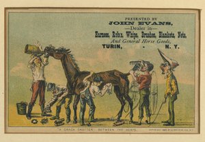 A Crack Trotter Between the Heats, 1880